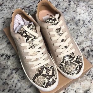 White raven size 9 snake skin/tan sneaker